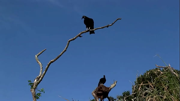 Tarra White Loves Sex By The Beach Just Like Aneta Keys